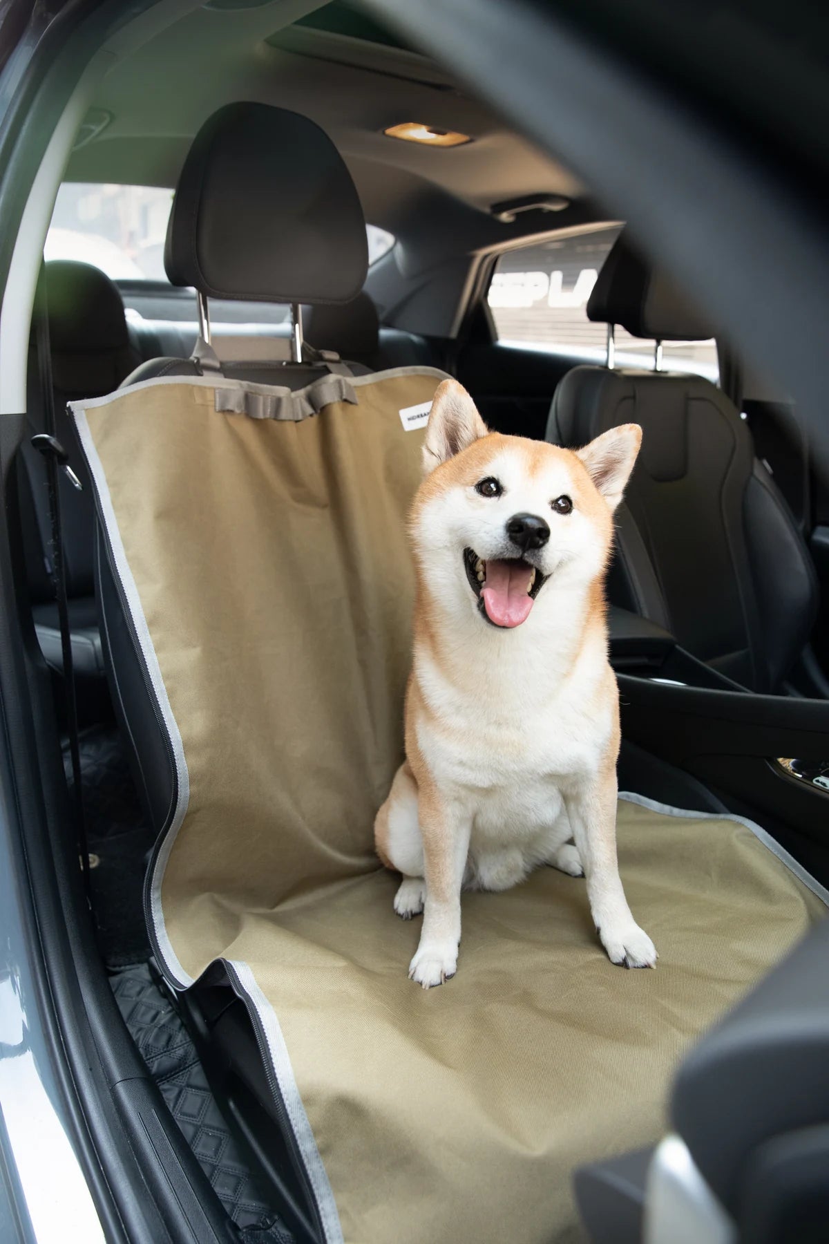 Dog sitting on the Moss Brown cover in a parked car