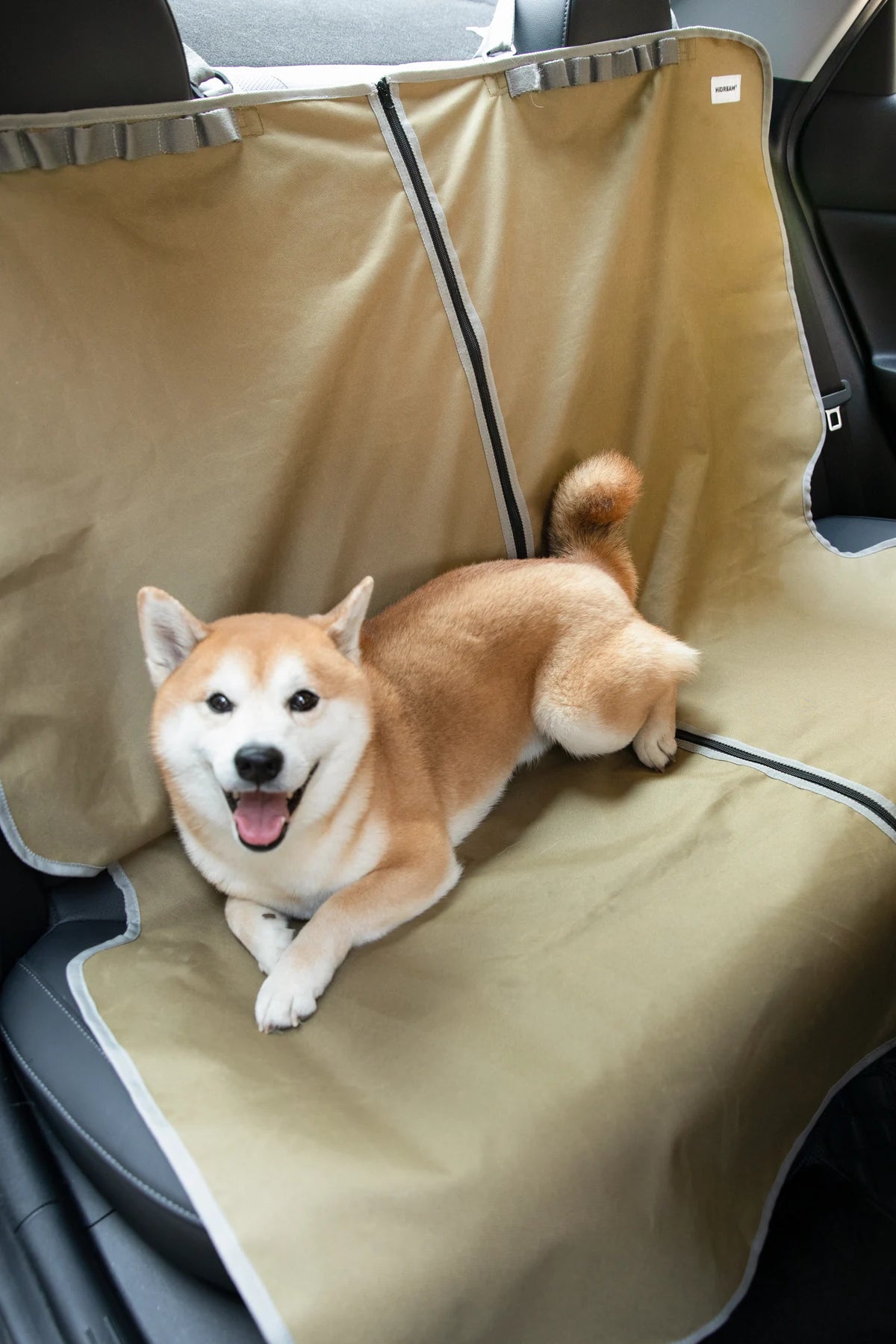 Dog lying on the cover in a parked rear seat
