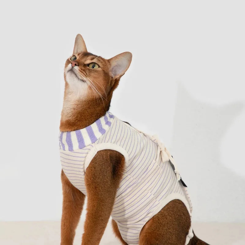 A cat wearing the striped recovery suit