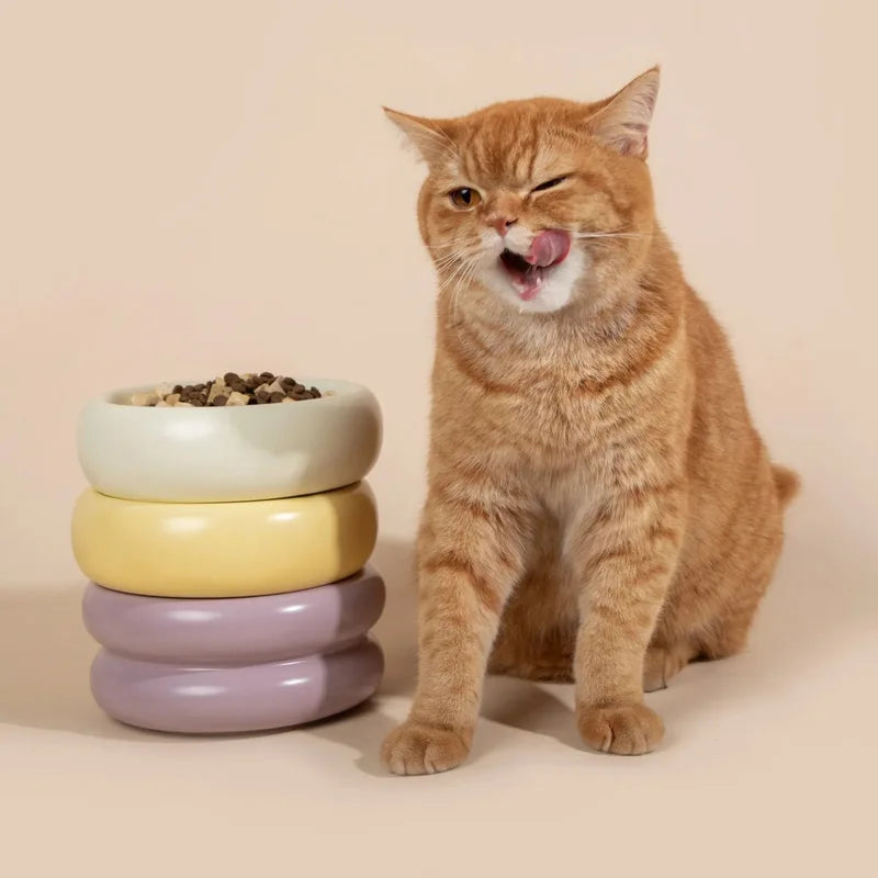 An orange cat beside the Donut ceramic pet bowl at mealtime