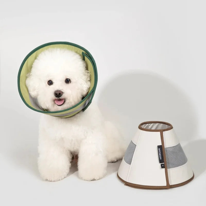 A white dog wearing a mesh recovery cone beside another color
