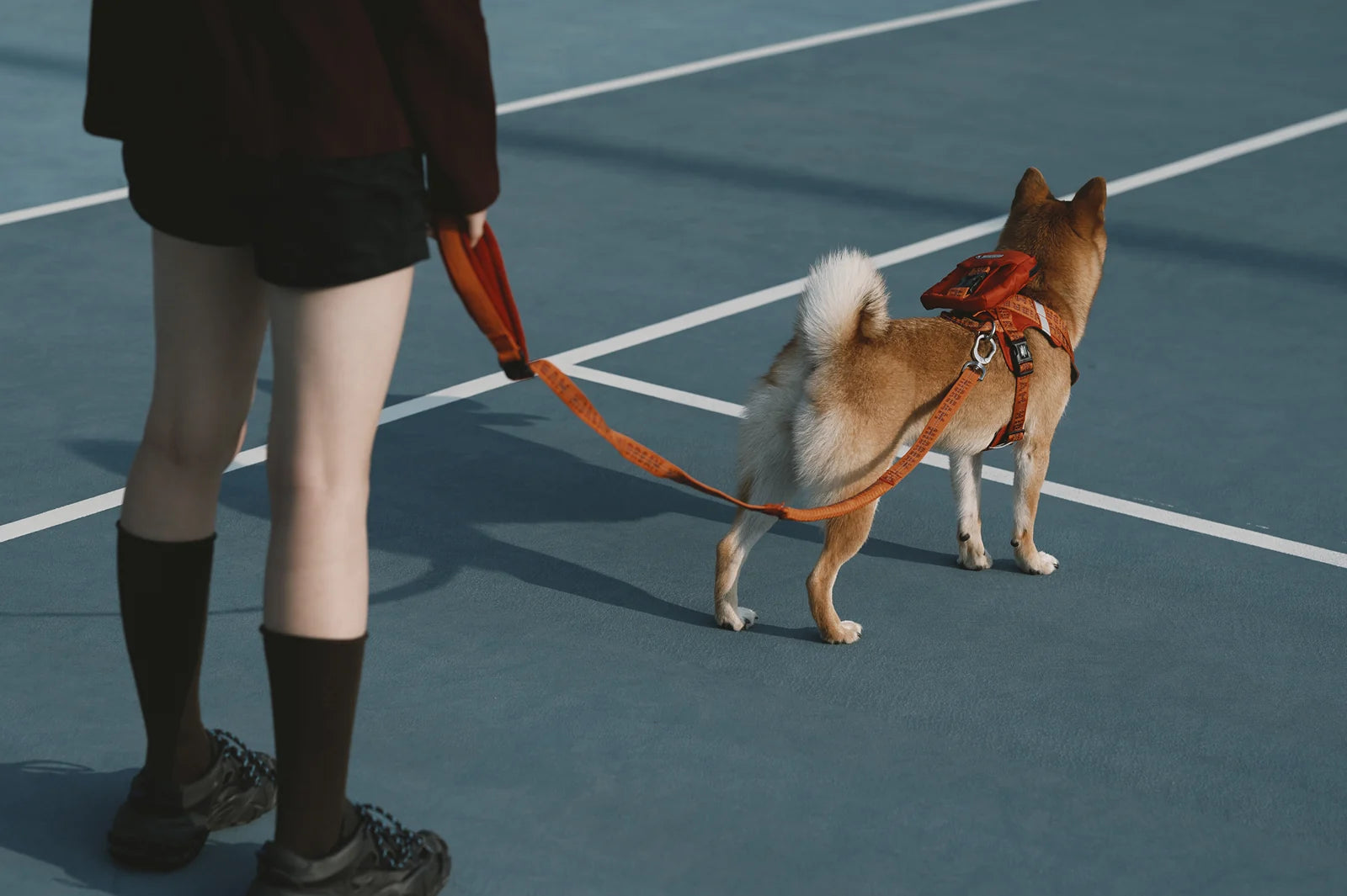 A person walking their dog with an orange Bobo Hug harness