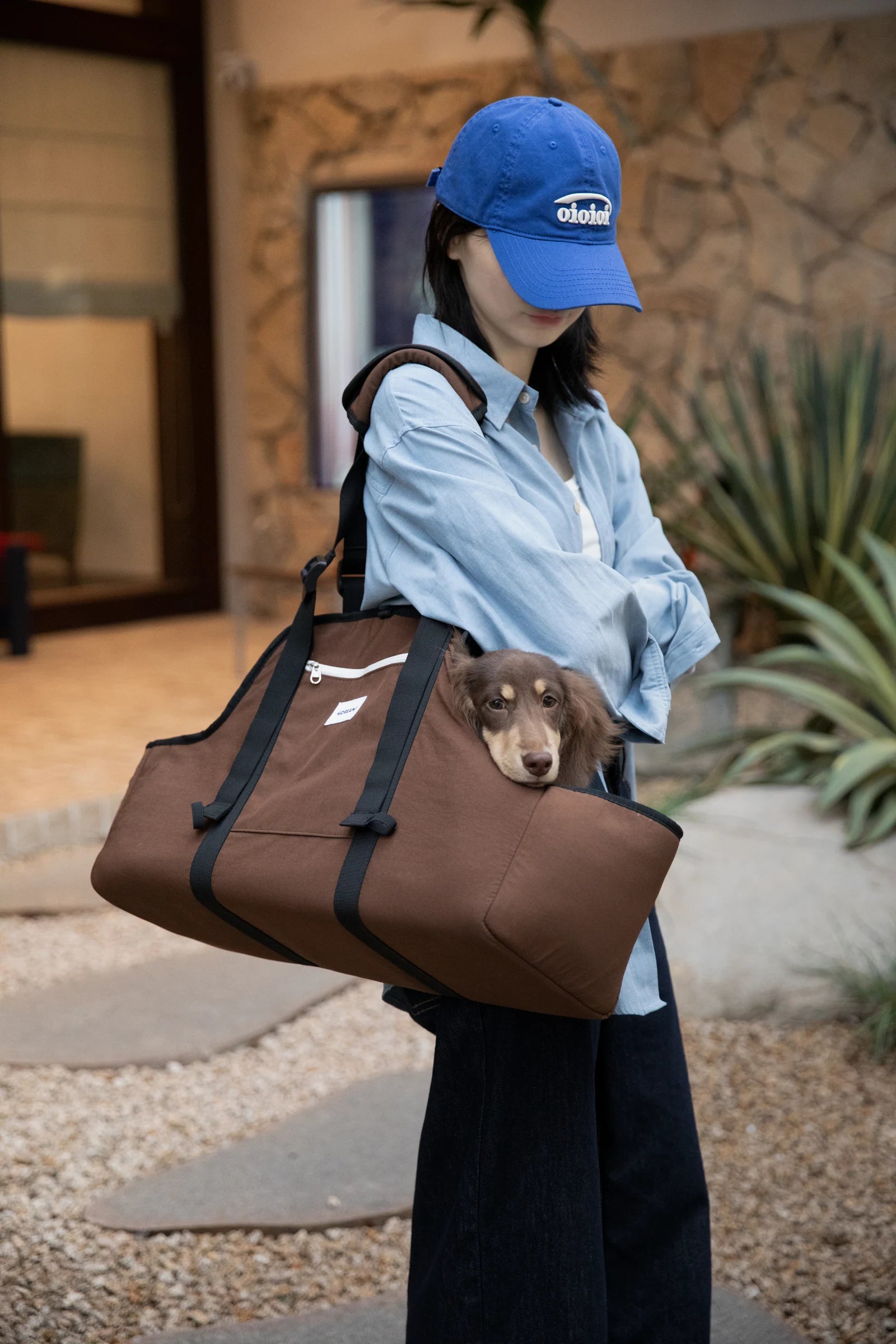 The same person carrying the brown Baguette bag with their dog
