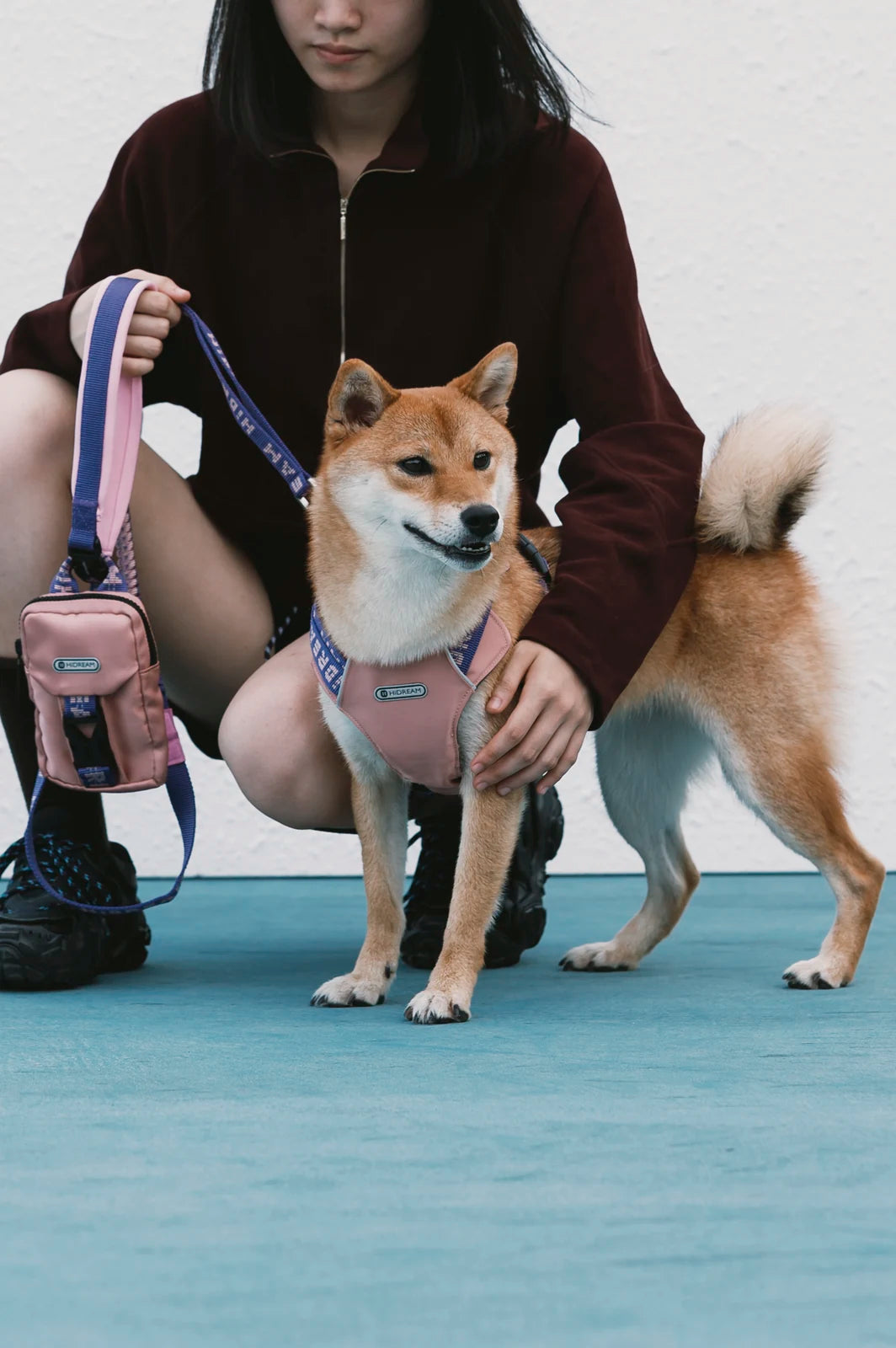 Taro Bobo harness worn by a dog outside with their person; leash is not included