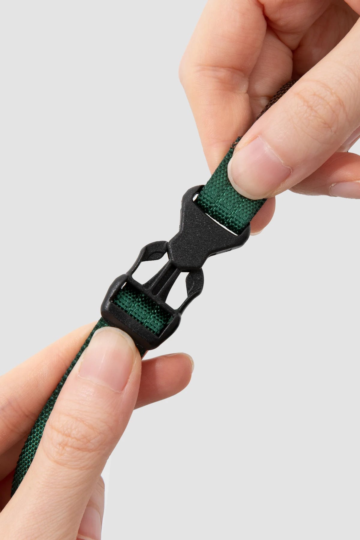 Close view of the adjustable leash buckle