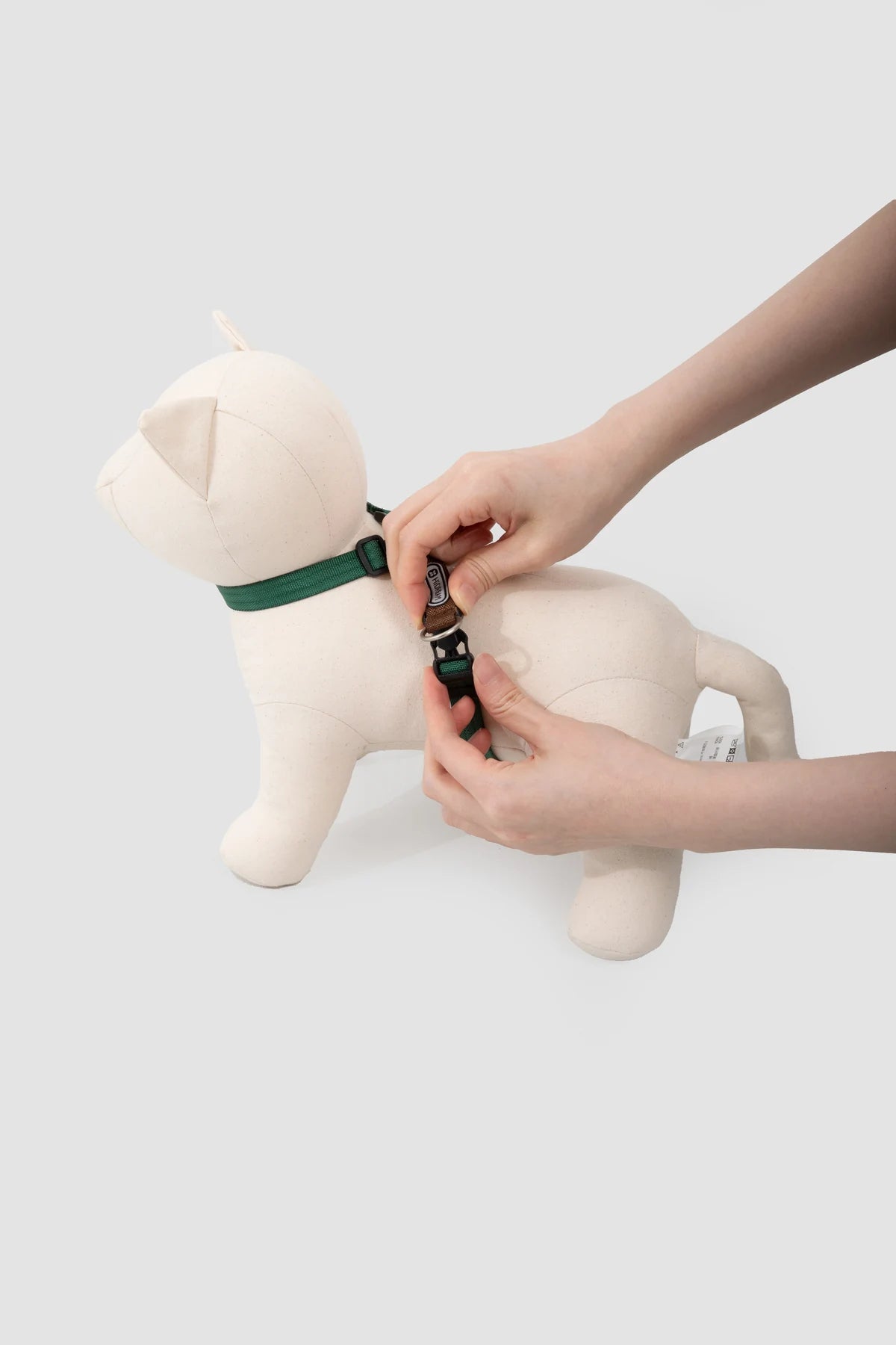 Figure-eight harness placement demonstrated on a model cat