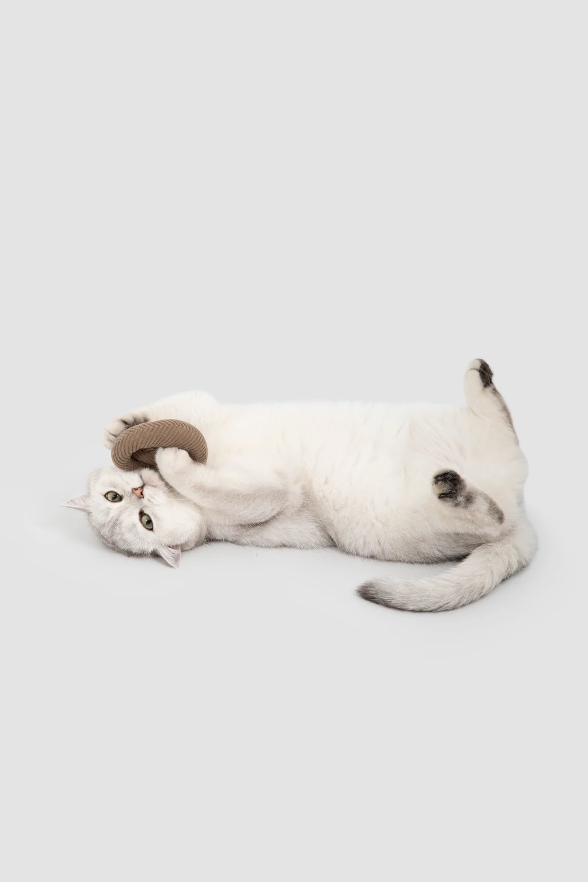 Cat rolling beside the Pretzel catnip toy