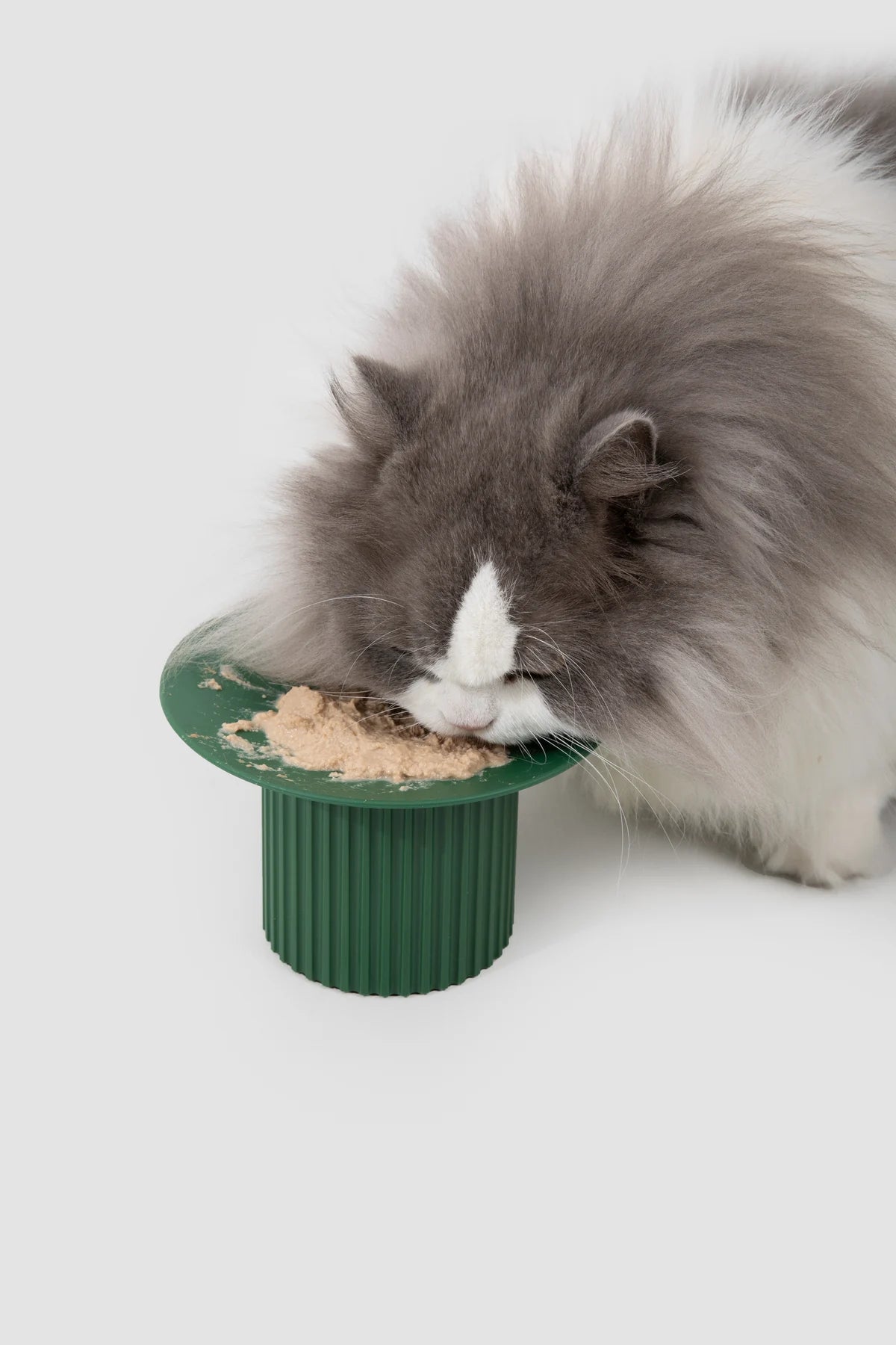 Cat eating from a bowl while wearing the Mist Blue Check snood