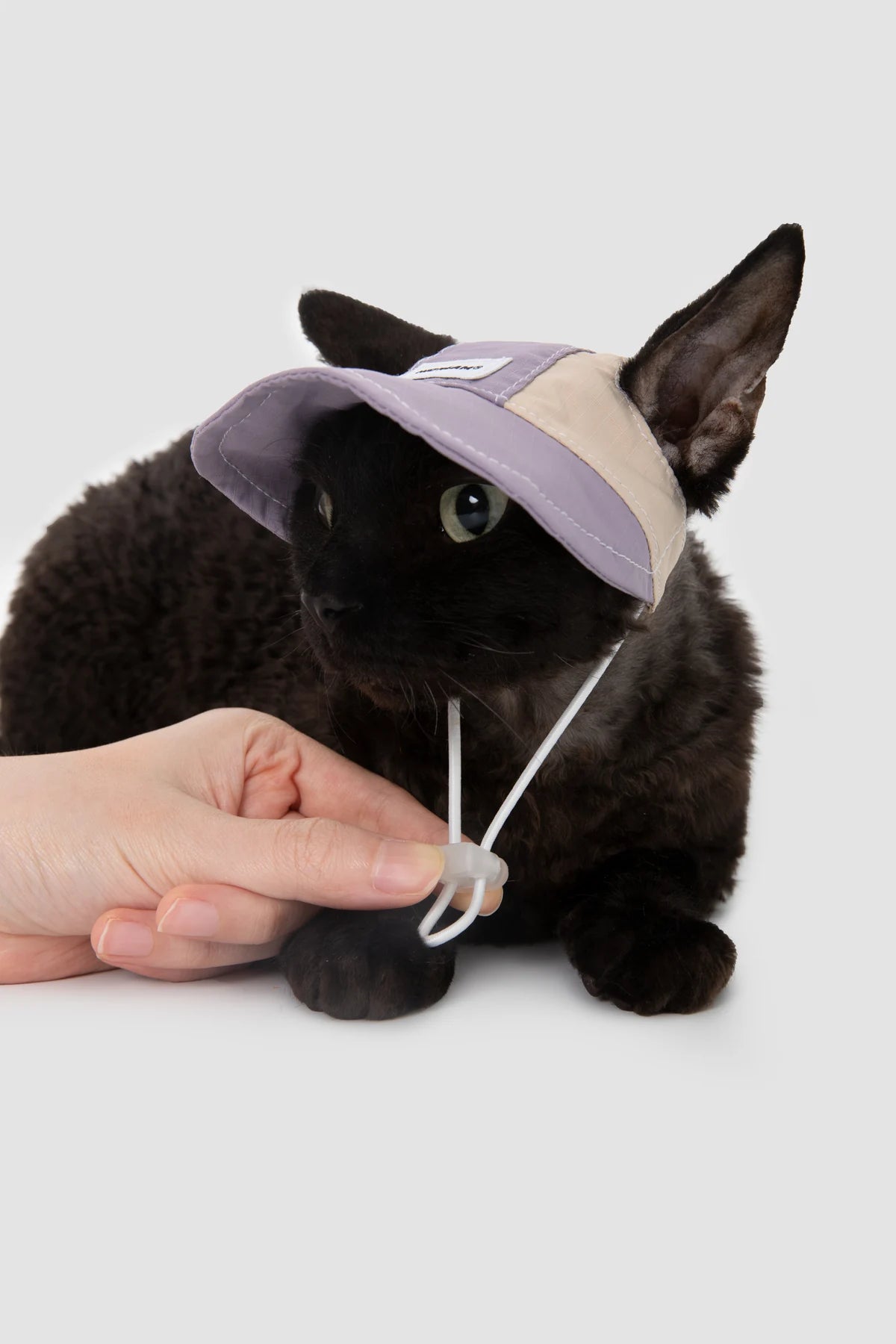 Chin cord adjustment demonstrated on the purple cap