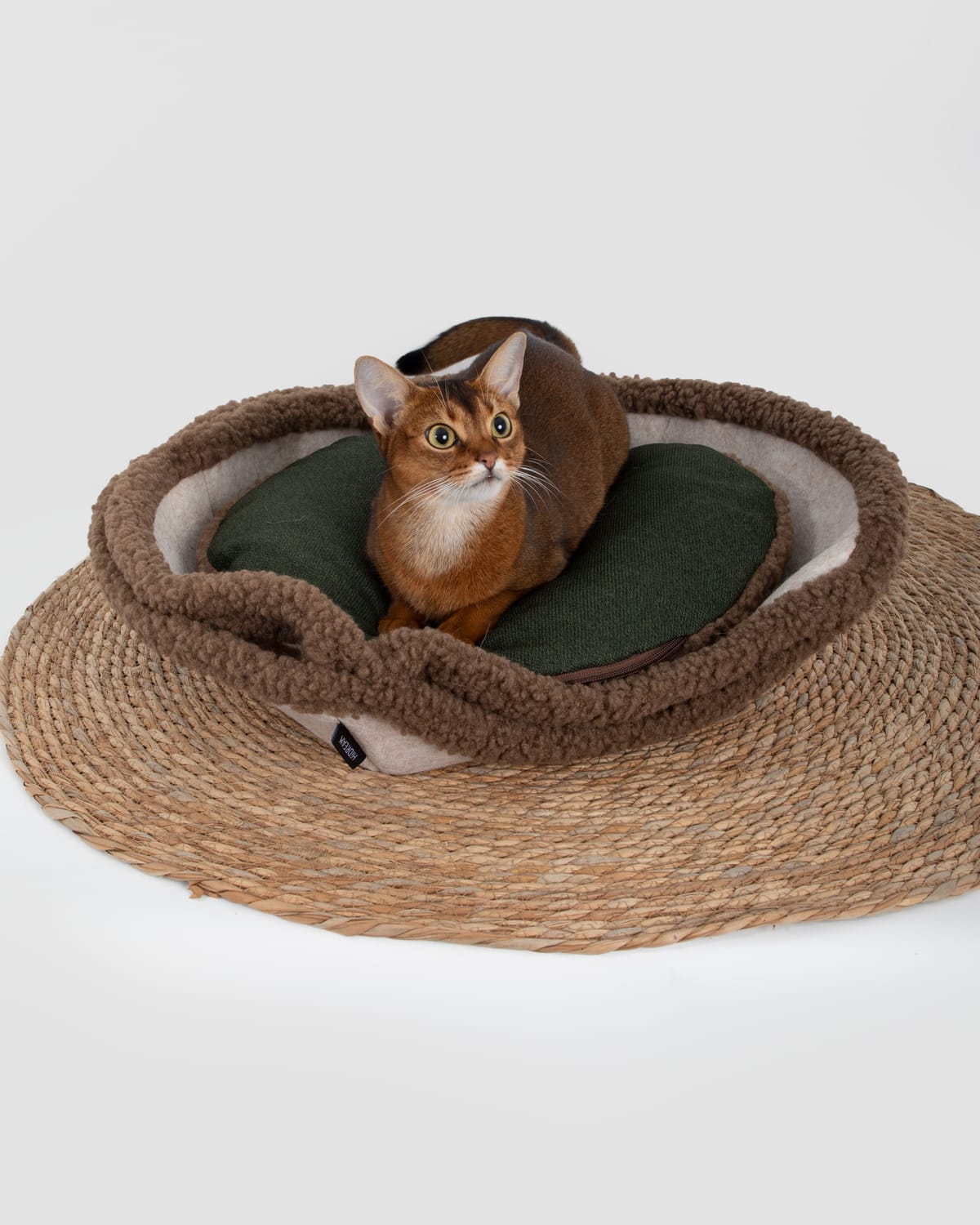 A cat resting in the Tart Cat Bed