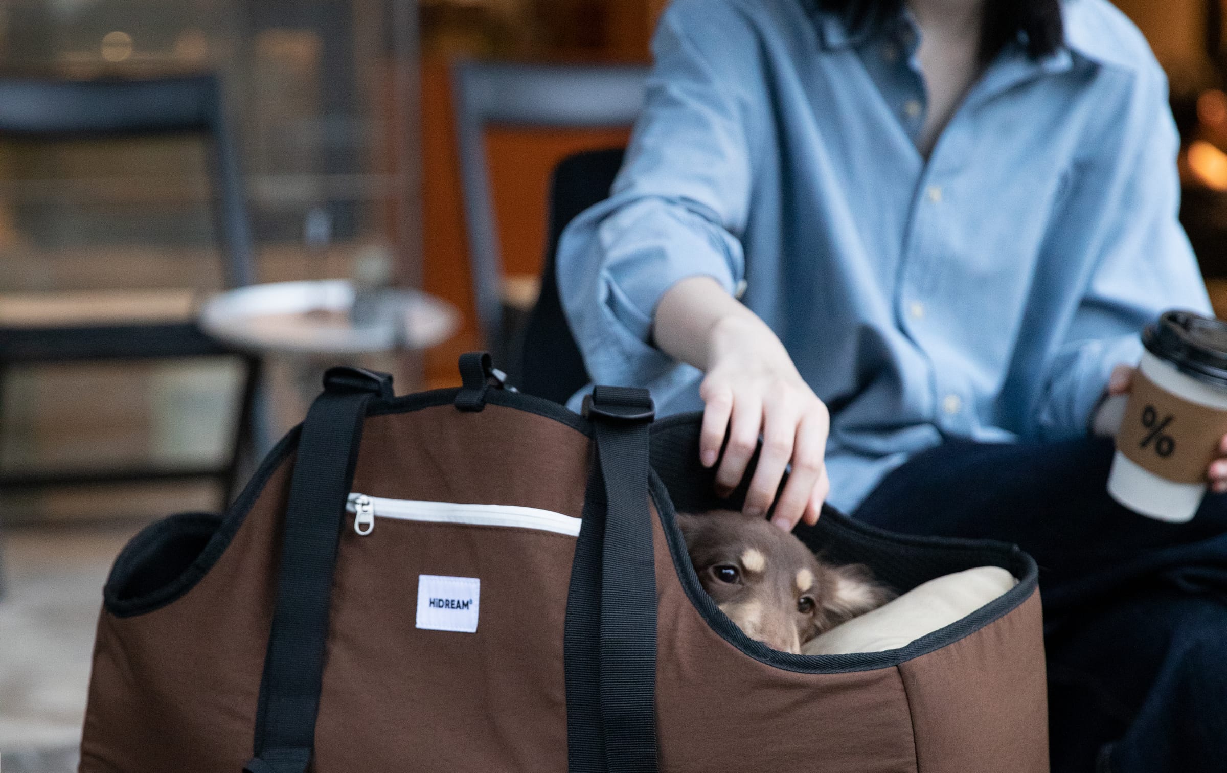Coffee in one hand, the other resting on a dachshund in the brown Baguette bag