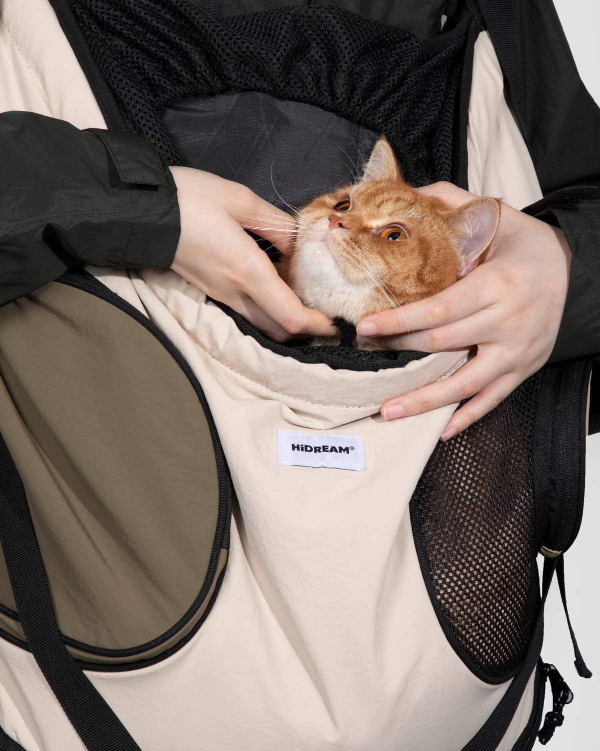Hands resting on a cat in the Ccros front carrier