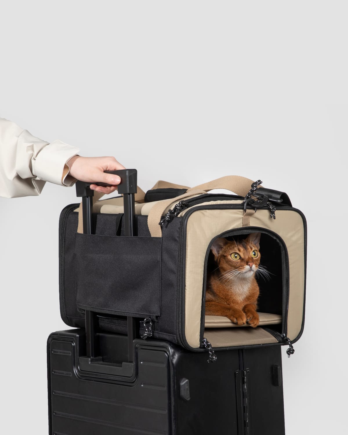A cat in a travel carrier sitting on a rolling suitcase