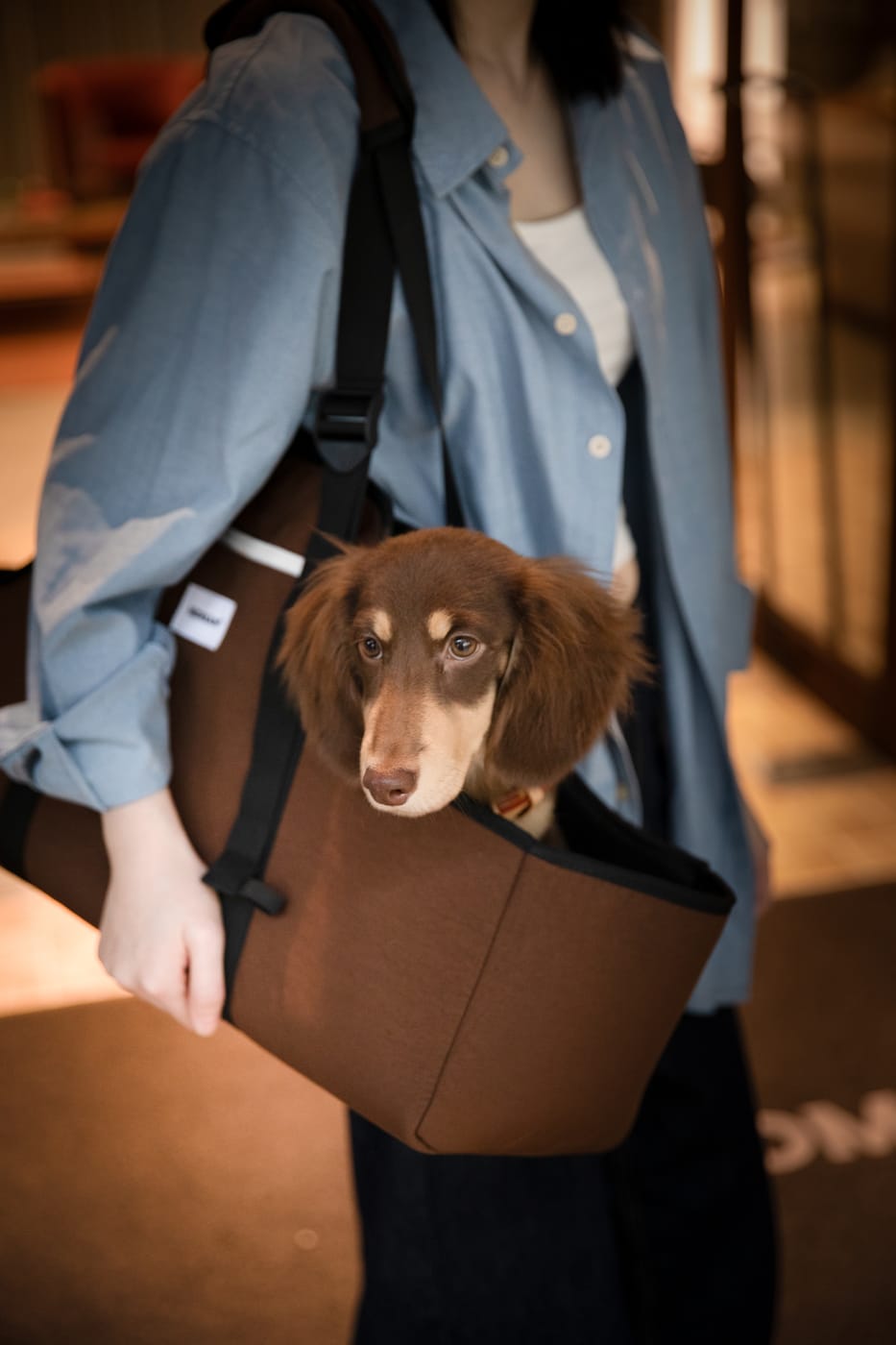 Coffee in one hand, the other resting on a dachshund in the brown Baguette bag